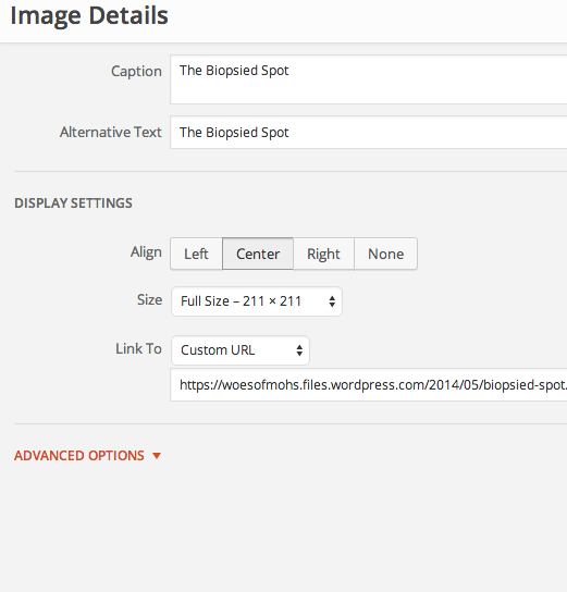 Screen Shot 2014 06 03 at 1 05 09 PM