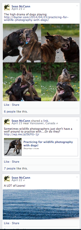 Screen Shot 2014 04 25 at 2 42 11 PM