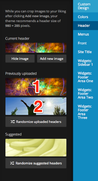Customize Fruit Shake WordPress