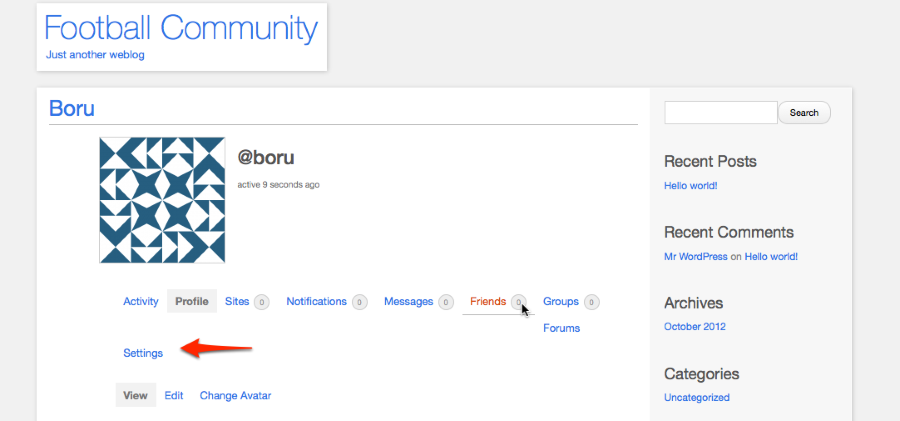 Boru Extended Profiles Football Community