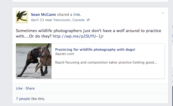 Screen Shot 2014 04 25 at 8 59 48 AM