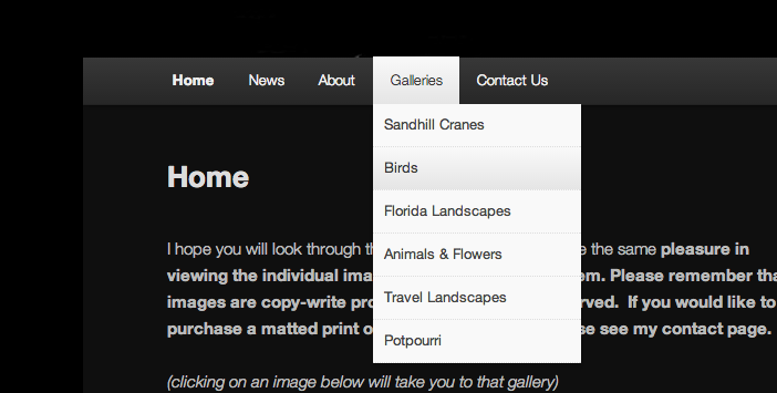 Screen Shot 2014 04 06 at 8 30 17 AM