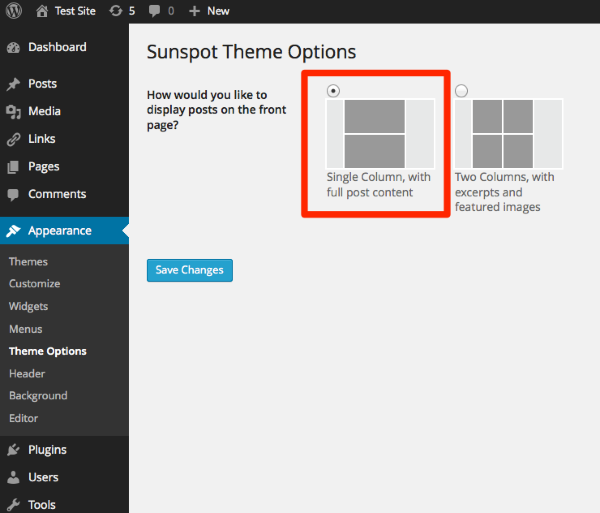 Theme Options Test Site WordPress