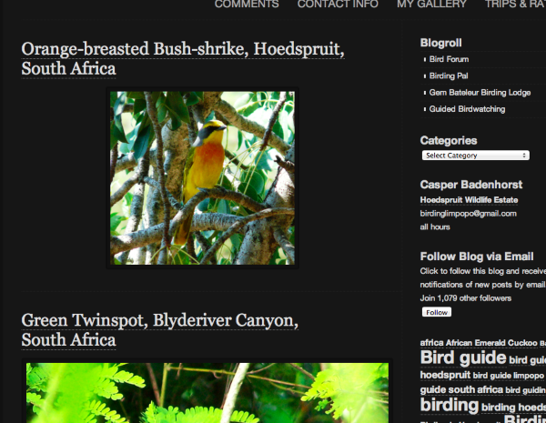 Screen Shot 2014 05 27 at 1 49 18 PM