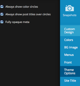 Customize Spun WordPress
